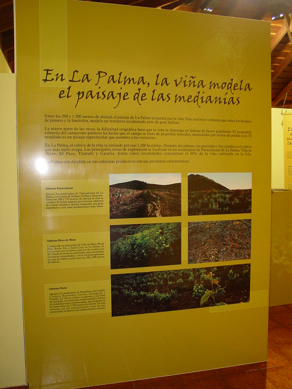 Centro de Visitantes Bodega de Barlovento, La Palma 
