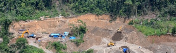 The new gold rush destroys 1,300 km2 of jungle in South America