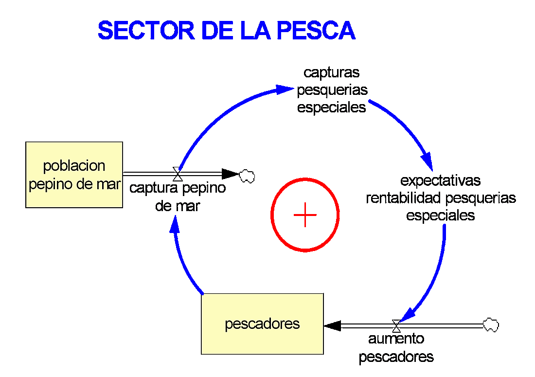 Bucles de realimentación positiva asociados a los turistas