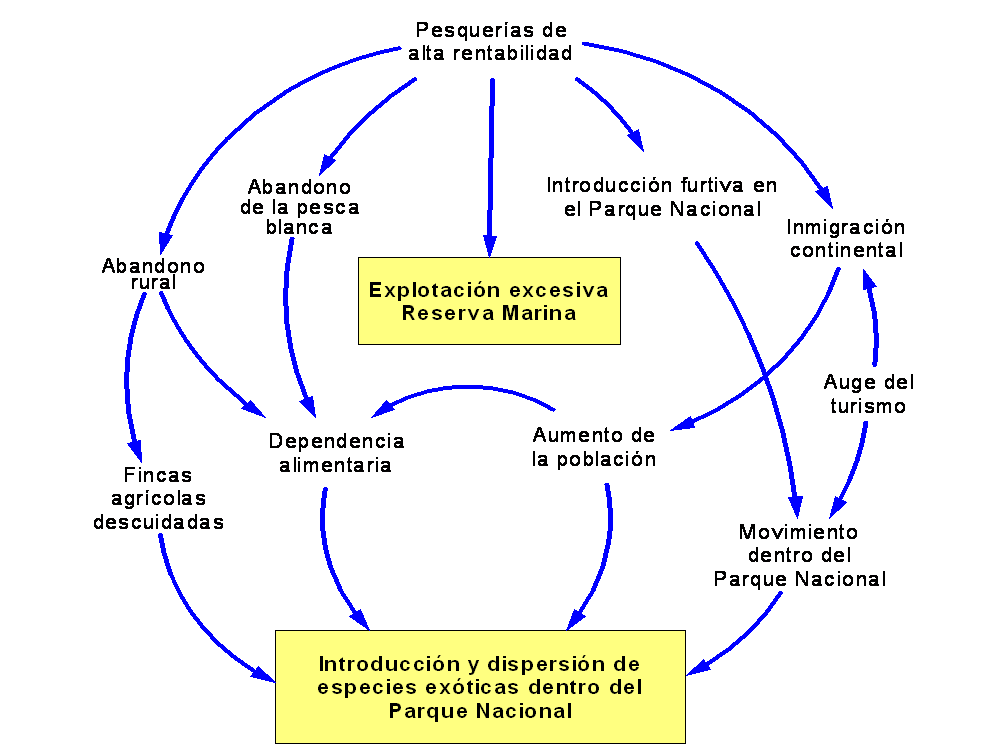 Diagrama del Modelo Conceptual